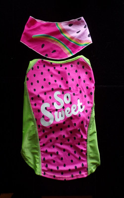 Top-Paw Sun Protection Quick Dry Shirt for Dogs UPF 50+ w/ Cooling Bandana - New