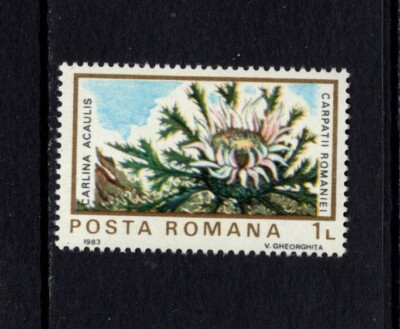 Romania 1983 FLORA, FLOWER, CARLINE THISTLE MNH SC 3154c | eBay