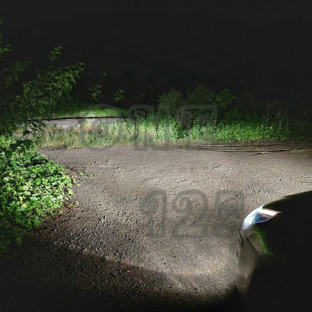 Picture 6 of 12