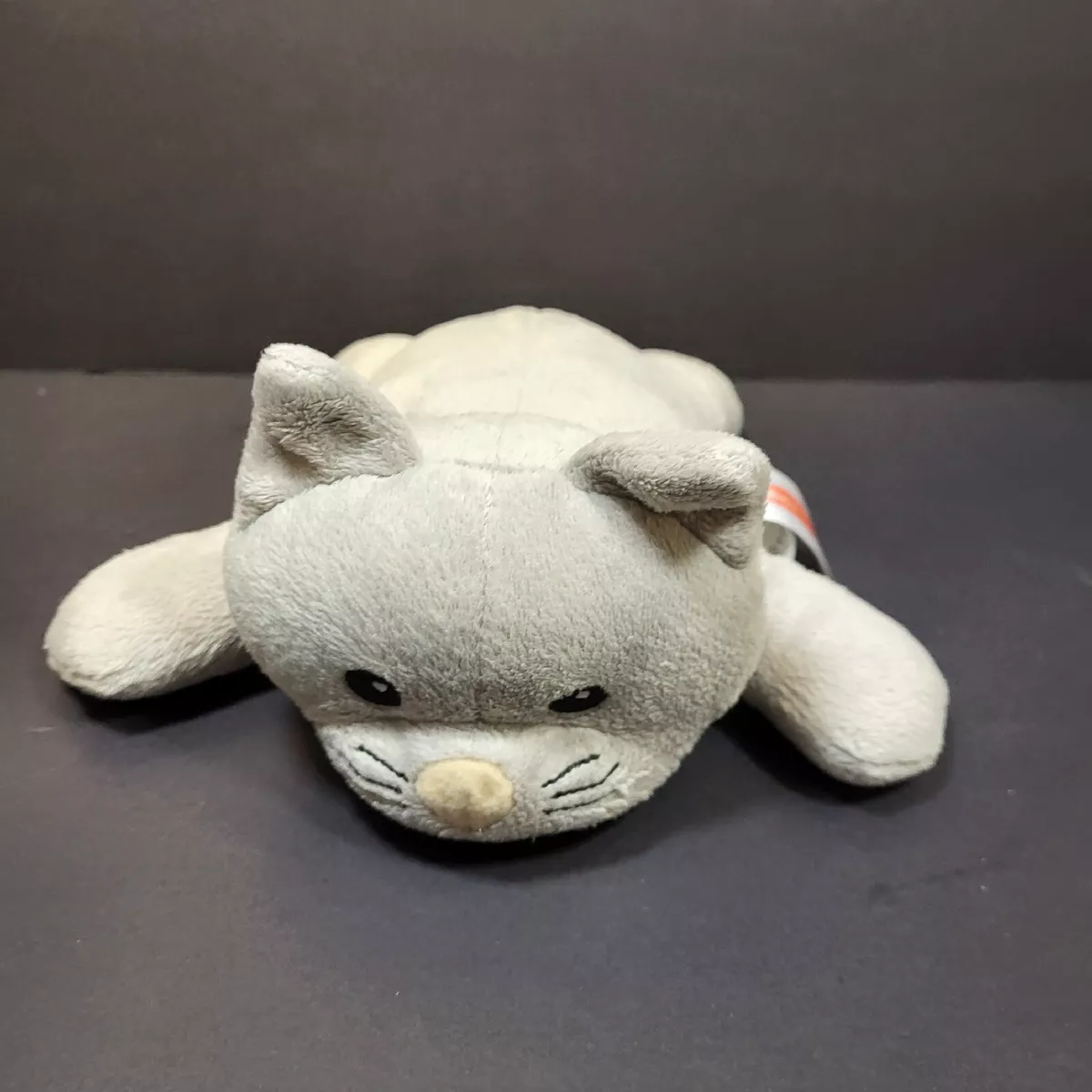 Kitten 2025 stuffed animal