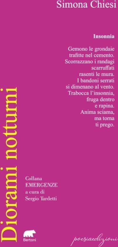 Libri Simona Chiesi - Diorami Notturni