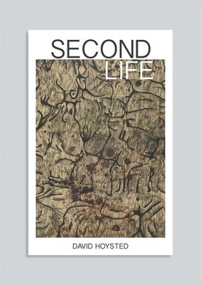 Second Life: A Story of Love, Loss and Hope,Hoysted, David David