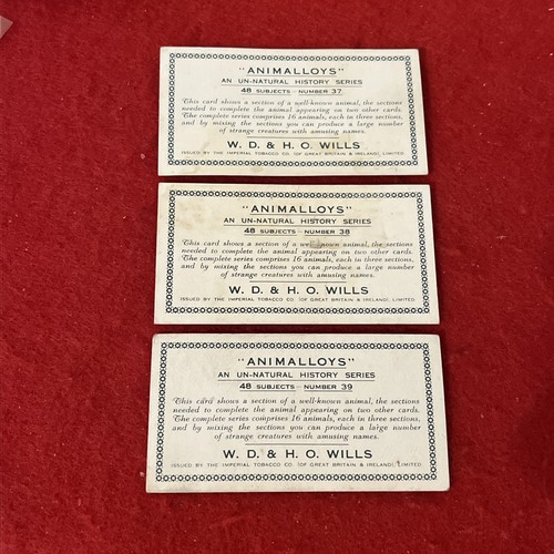 1934 Set di carte tabacco TARTARUGA Wills "Animalloys" (3) tutte VG-EX - Foto 2 di 3