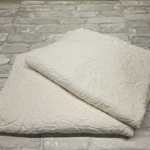 2 Pottery Barn White Matelasse Shams Standard Pillow Floral Quilted Textured