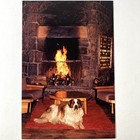 Timberline Lodge Oregon Or Famous St. Bernard Dog Fireplace Vintage Postcard Old