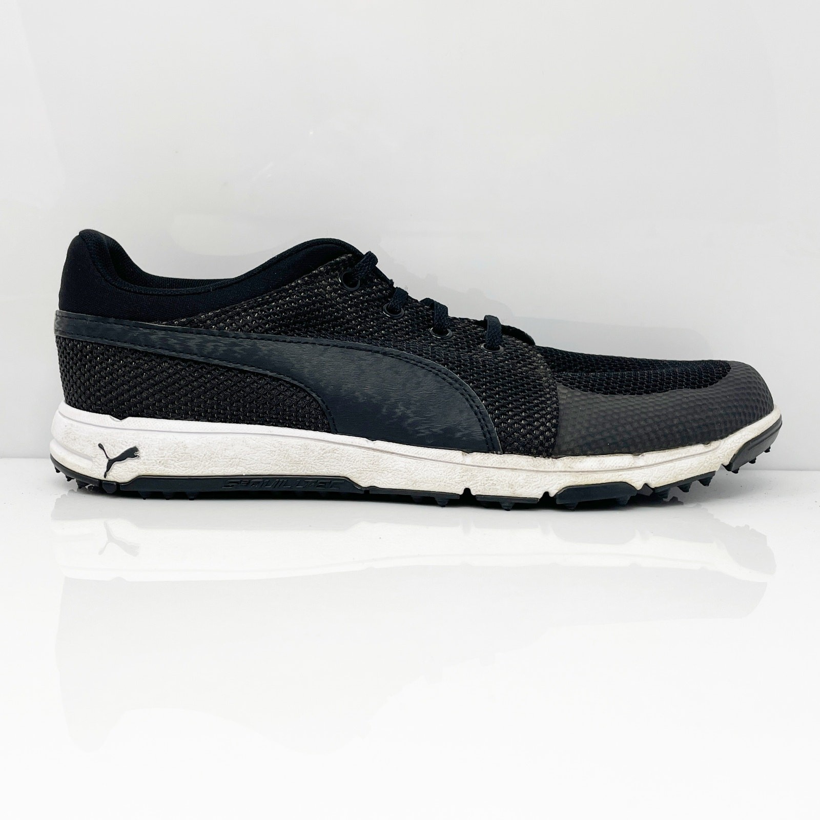 Size 11.5