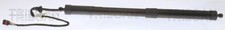 TRISCAN Koffer Laderaum Gasfeder Dämpfer Für SEAT Alhambra VW 10-22 7N0827851E