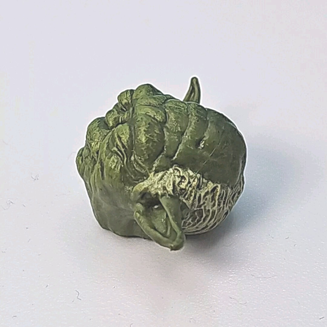 Picture 2 of 5