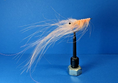 Fliegen MEERFORELLE Pattegrisen Haken #6 MeFo PATTEGRISEN Original Whiting Spey