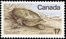 🍁Canada   #813    SOFT SHELLED TURTLE     Brand New 1979 Original Gum