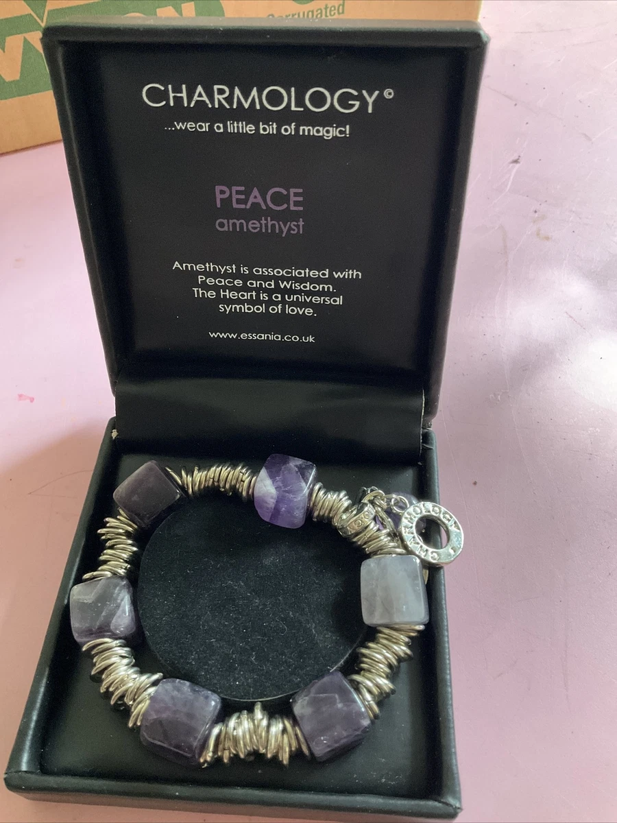 CHARMOLOGY PEACE AMETHYST BRACKET eBay