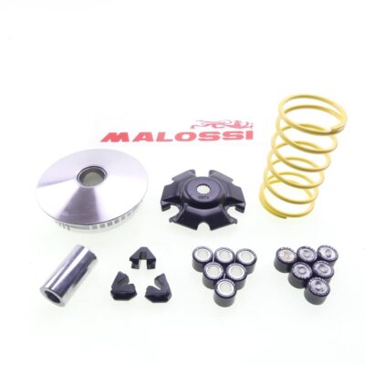 Variomatik Malossi Multivar 2000 Vario für Yamaha Majesty X-Max 125 MBK