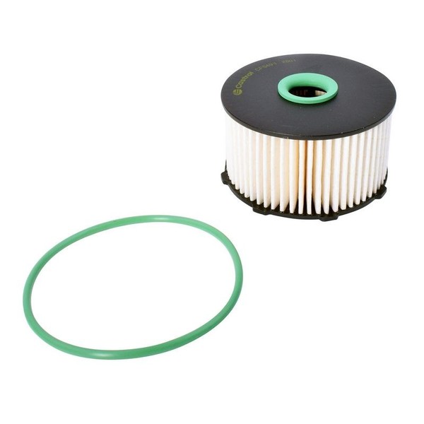 Castrol Filters Kraftstofffilter CF0491 FüR CitroËN DS Passend FüR Fiat Opel-image