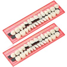 Nuanchu 56 Pcs False Teeth Acrylic Resin, 2 Set A2 Shade Denture Teeth Replac...