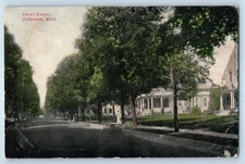 1907 Buchanan Michigan MI Vintage Postcard Front Street Houses Home Trees Road