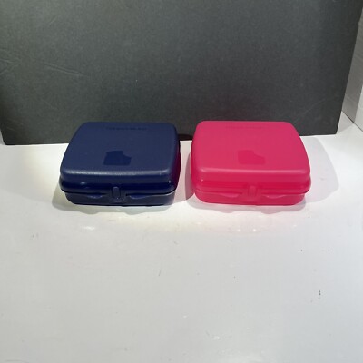 Tupperware Sandwich Keeper Hinged Lunch Box Set of 2 Blue & Pink