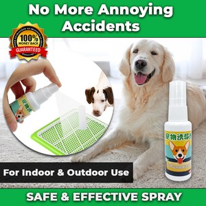 potty training aid spray
