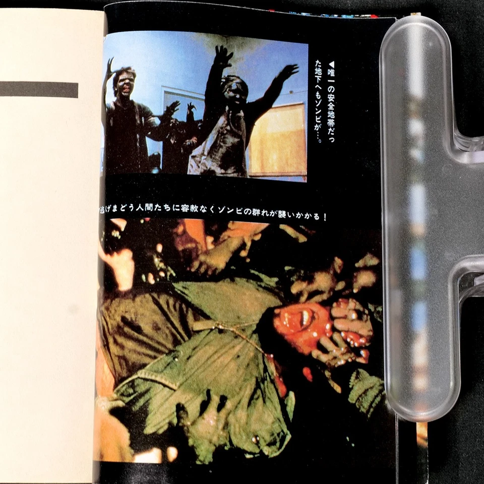 Giorno dei Morti Film Giapponese Romanzo 1986 Prima Edizione Horror Kodansha ... - Immagine 4 di 4