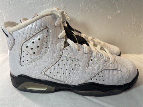 alligator retro 6