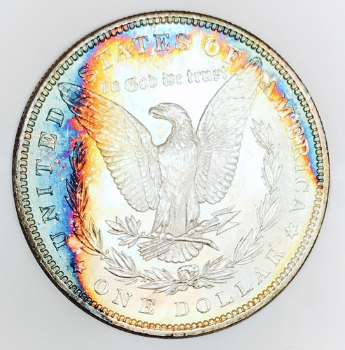1884 MORGAN DOLLAR! GEM BU+++! DUAL SIDED RAINBOW TONED RIMS! AMAZING! NR #K1789
