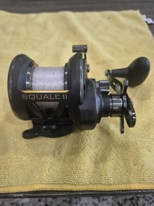 Penn Squall 20 Lw | eBay