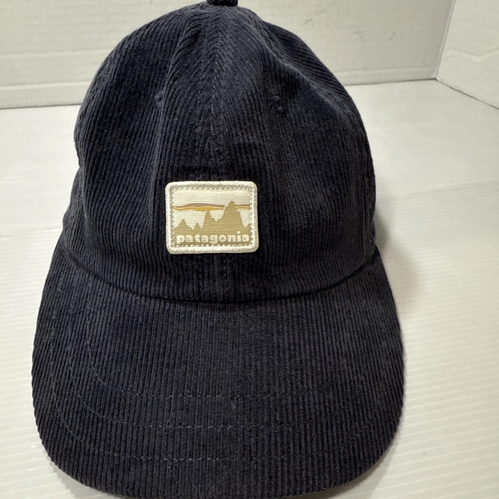 patagonia corduroy smolder adjustable snap back 