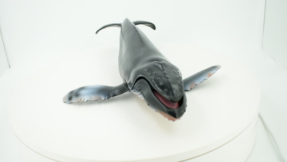 Humpback Whale, Hand Painted, Realistic Toy Figure, Model, 11