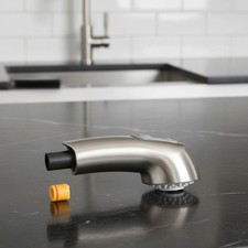 Pull-Out Spray Wand Fits Grohe Pull Out Faucets, Grohe Part 46312SD0/46298SD0, S
