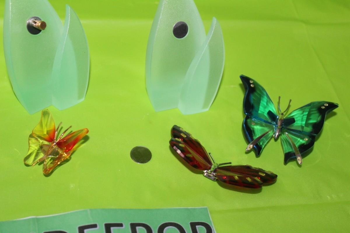 Swarovski kiwi 160797 フィギュリン　管mpr Swarovski kiwi 160797 フィギュリン 管mpr