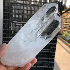 1.1LB Natural white transparent Clear Quartz Crystal Cluster Mineral HealingC235