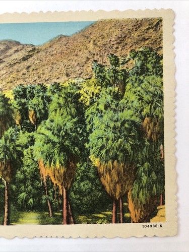 Litografía de la era del lino sin publicar Palm Canyon, cerca de Palm Springs California - Imagen 4 de 7