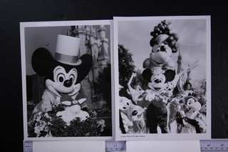 Twenty Four 1970s 1980s Type 1 TV DISNEY Press Photos (id5340)