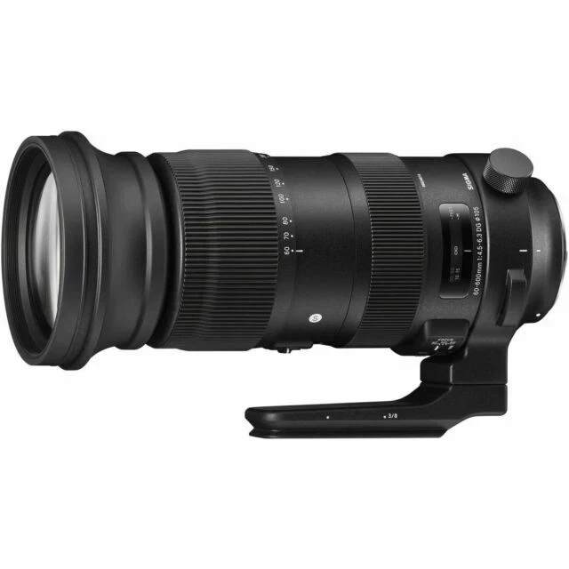 Sigma 60-600mm Focal Camera Lenses for sale | eBay