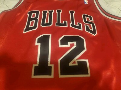 希少♡Kirk Hinrich Chicago Bulls Reebok製　XL Rare Vintage Reebok NBA Chicago Stags Jersey XL Kirk Hinrich