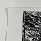 Picture 5 of 9
