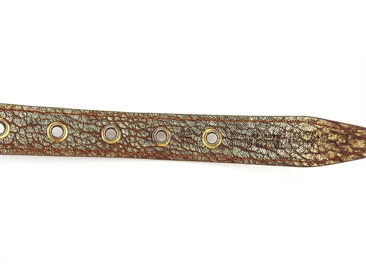 MIUMIU belt Gold Brown Silver Women Authentic secondhand | eBay display picture 1