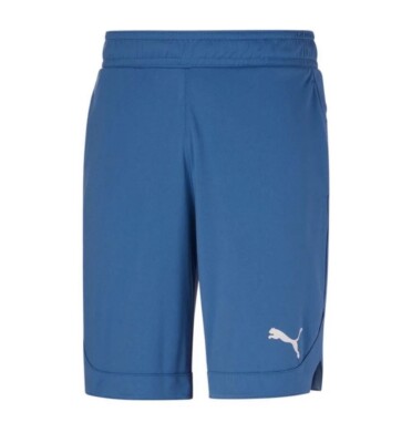 PUMA Men's Rtg Shiny Fabric 10'' Shorts Athletic Bottoms Size Large NWT