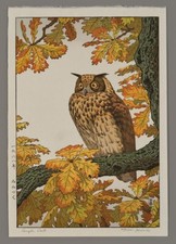Toshi Yoshida Woodblock - Eagle Owl