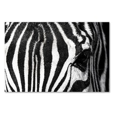 Postereck 3921 Poster Leinwand Zebra, Tier Streifen Schwarz Weiss Natur