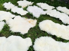 Echte Öko Schaffelle Lammfell Schaffell Fell Hell Bis 150cm 2.Wahl Schnäppchen