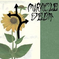 Miracle Debt - Under The Shadow - Vinyl Record - F600Z