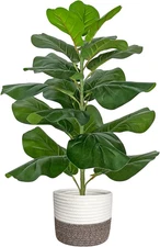 Artificial Fiddle Leaf Fig Tree/Faux Ficus Lyrata for Home Office Decoration, 30
