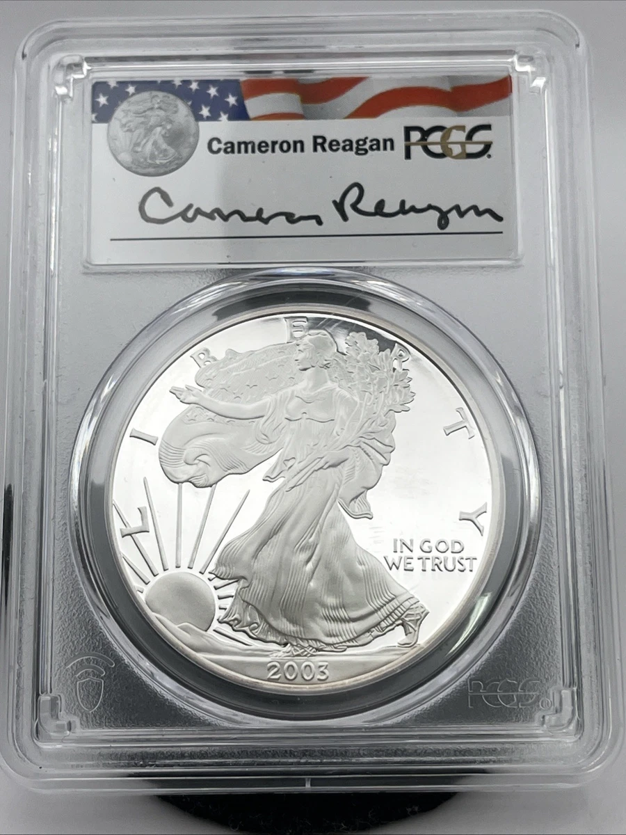 (PR69 DCAM)アメリカ合衆国　シルバー イーグル銀貨　2003 W American Eagle PR 69 Graded 2003 Silver Bullion Coins for sale | eBay