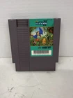 Adventure Island II (Nintendo Entertainment System, 1991) Authentic Tested CLEAN