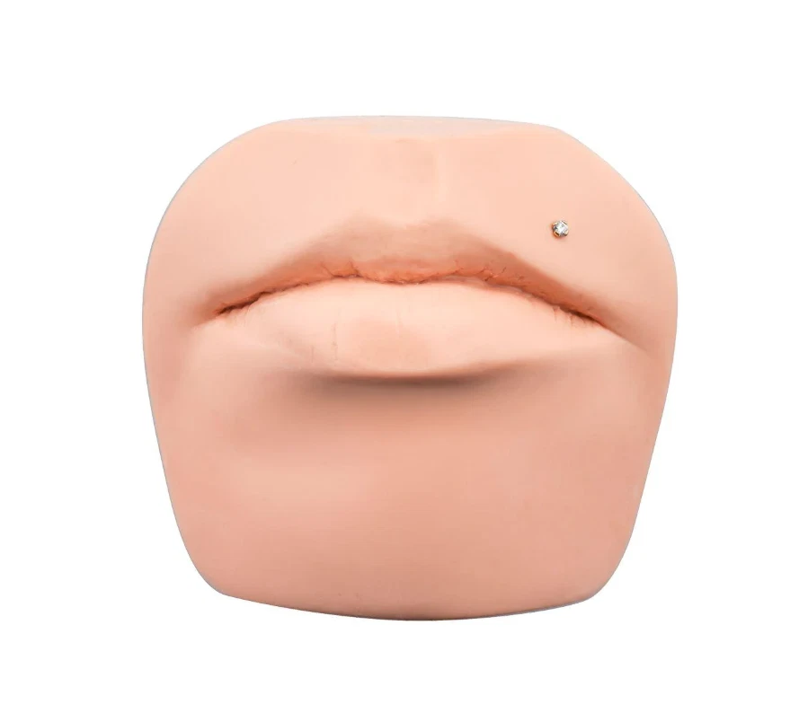 真正钻石宝石 14K 金色 16G 推入无螺纹唇部实验室耳钉戒指 — 第 4/4 张图片