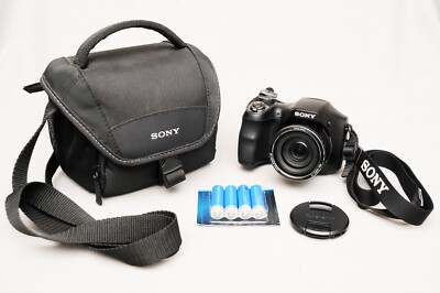 Sony Cyber-shot DSC-H200 20,1 MP Digitalkamera