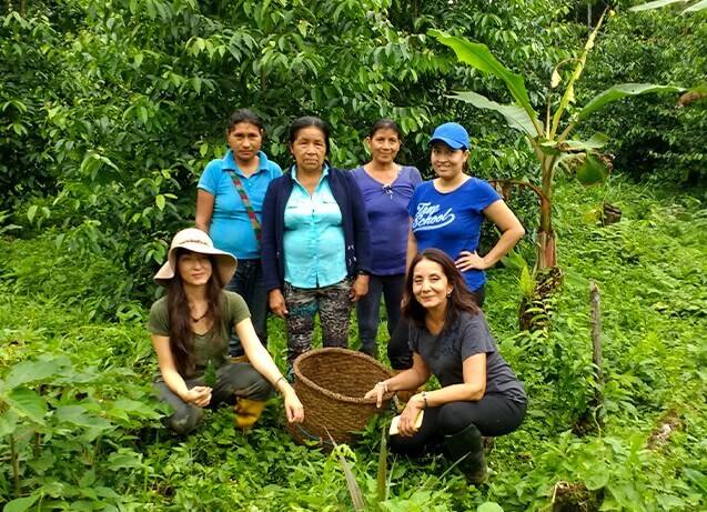 Guayusa Pachamama 100g Certificato Biologico | 100g - Foto 5