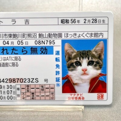 タレントカード CHU タレントカード CHU カードリスト ｜ ヴァイスシュヴァルツ｜Weiβ Schwarz