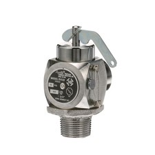 Mavrik 50 PSI 3/4 in Steam Safety Relief Valve