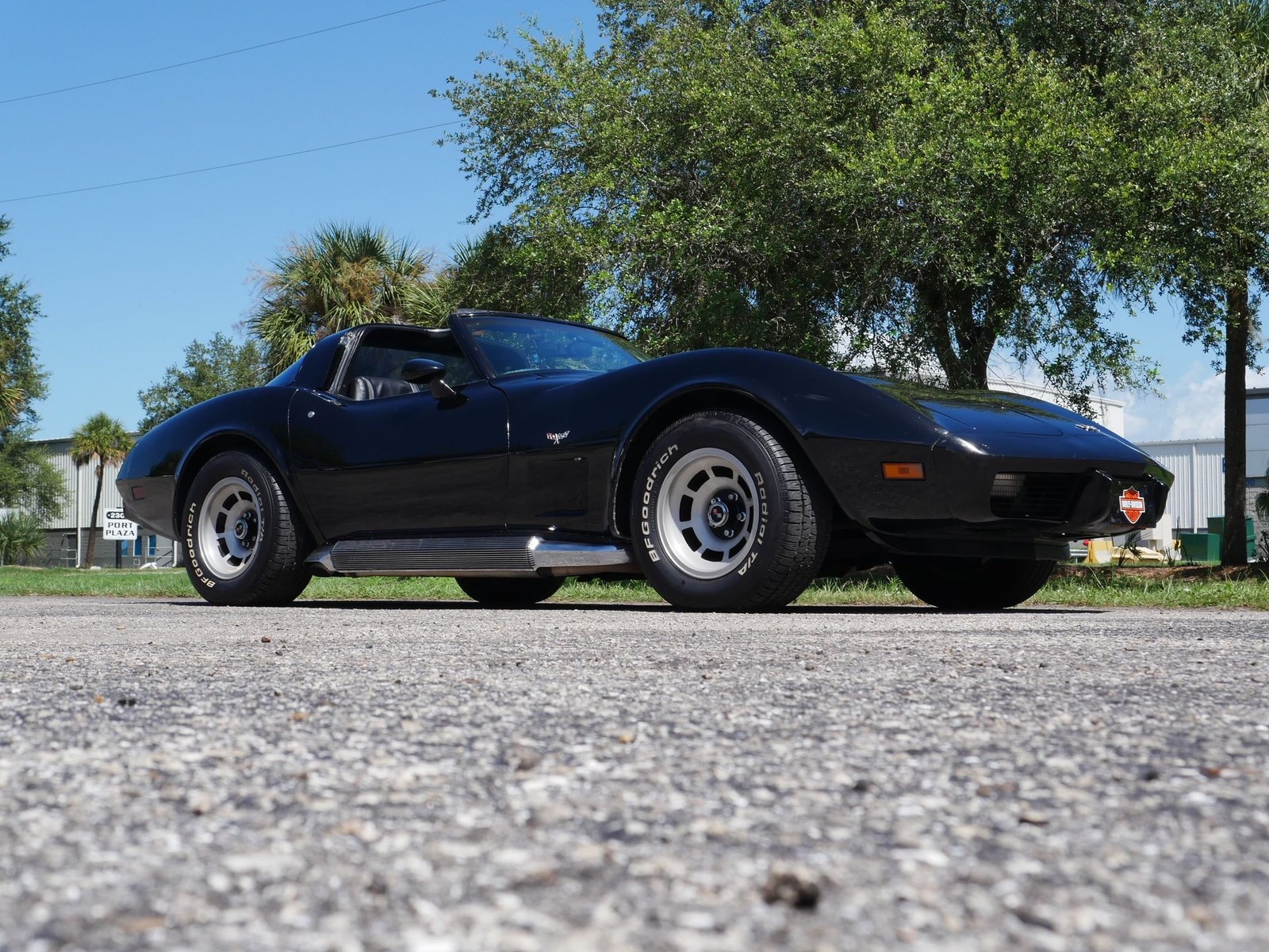 1979 Other Chevrolet Corvette Coupe  | C3 Corvette Photo 3